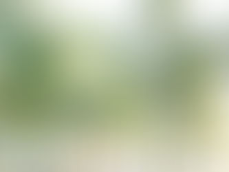 SPPPROPERTIESFRAUD, SAIPROPERTIESANDPROJECTSFRAUD, SAIPROPERTIESFRAUD,SPPPROPERTIESFRAUD, SPPFRAUD SPPPROPERTIESCHEATING, SAIPROPERTIESANDPROJECTSCHEATING, SAIPROPERTIESCHEATING,SPPPROPERTIESCHEATING, SPPFRAUDCHEATING