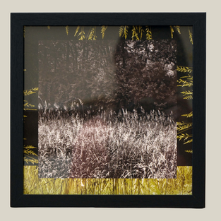 Art Connects Community: How Local Artists Are Reflecting Nature