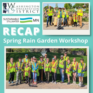 Reflecting on a Day of Rain Garden Revival in Stillwater