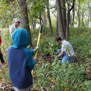 Volunteers Restore Lily Lake Habitat