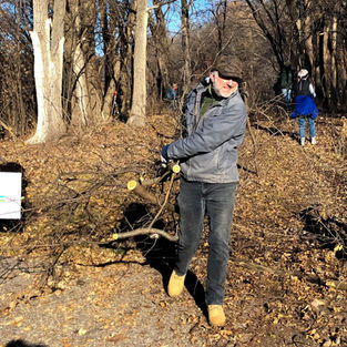 Volunteer Buckthorn Bust