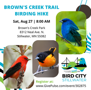 Browns Creek Trail Birding Hike