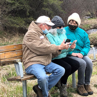 Bluebird Recovery Program