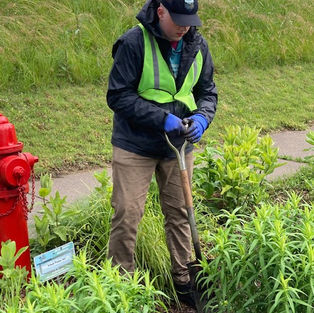 Scout Troop 162 Rain Garden Clean-Up Day - June 1st, 2024