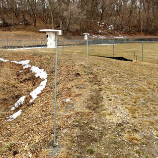 Update on Bird City Stillwater's Bluebird Initiative