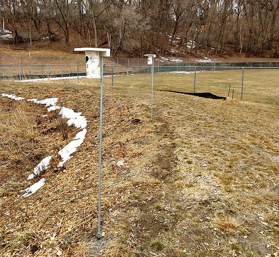 Bluebird nest boxes in Lily Lake Park