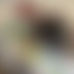 Bringing the Climate Experience to DaVinci Fest 