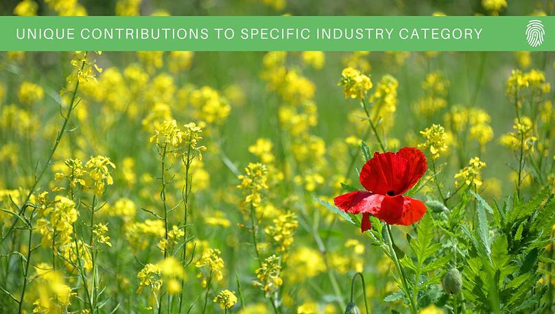 Showcasing Industry Uniqueness Best Practices