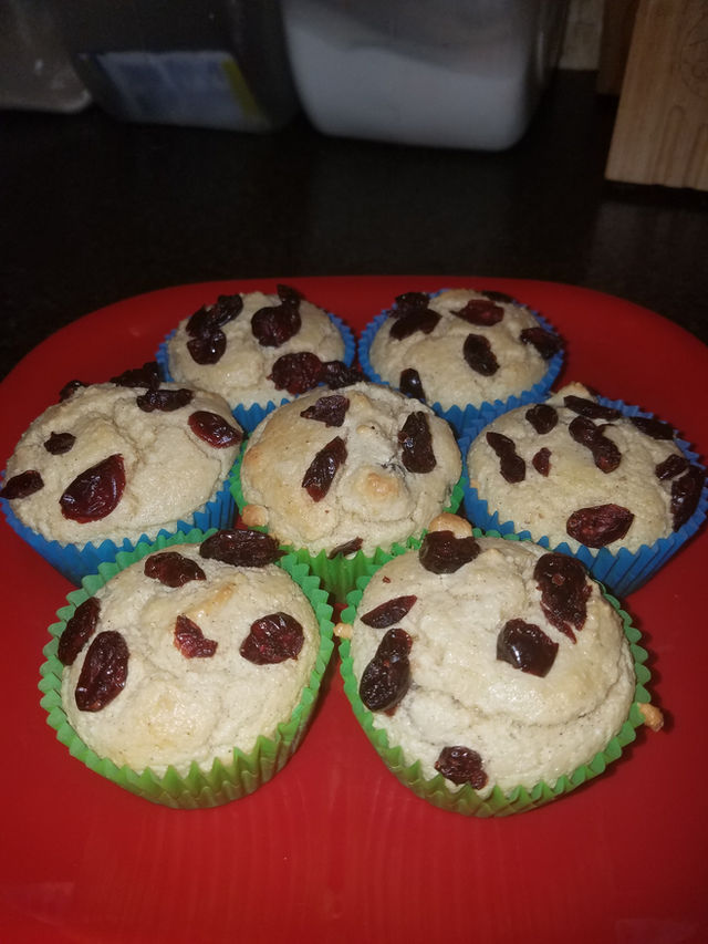 Sour cream cranberry muffins (keto friendly)