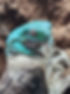 20240824_142913.jpg