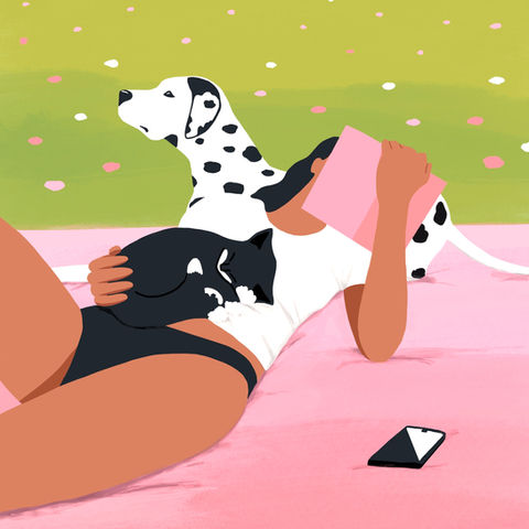 Wildflower meadow Dalmatiner cat reading girl