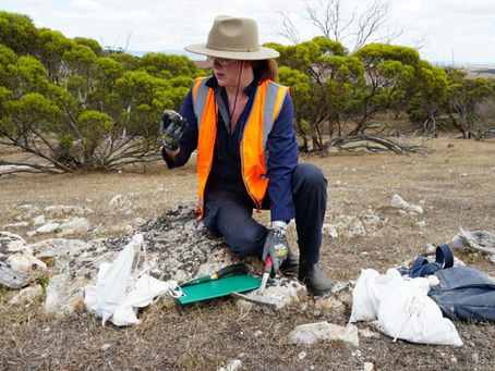 Lincoln Minerals zeroes in on high-priority SA uranium targets