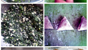 משולשי ספנקופיטה