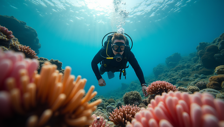 Join the Best Kassandra Diving Hotspots Club for Unforgettable Underwater Adventures