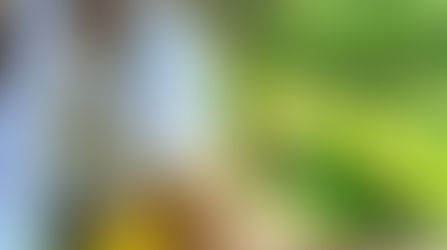 КАК ОСТАВАТЬСЯ МОЛОДЫМ ДОЛГО?
СЕКРЕТ НЕ В ФИЗИОЛОГИИ, А В ЭМОЦИЯХ