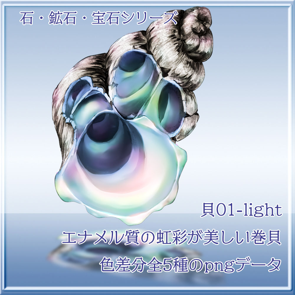 貝01…色差分5種セット(light版)
