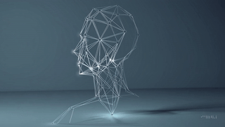 LifePillar-Dynamics-Systems.gif