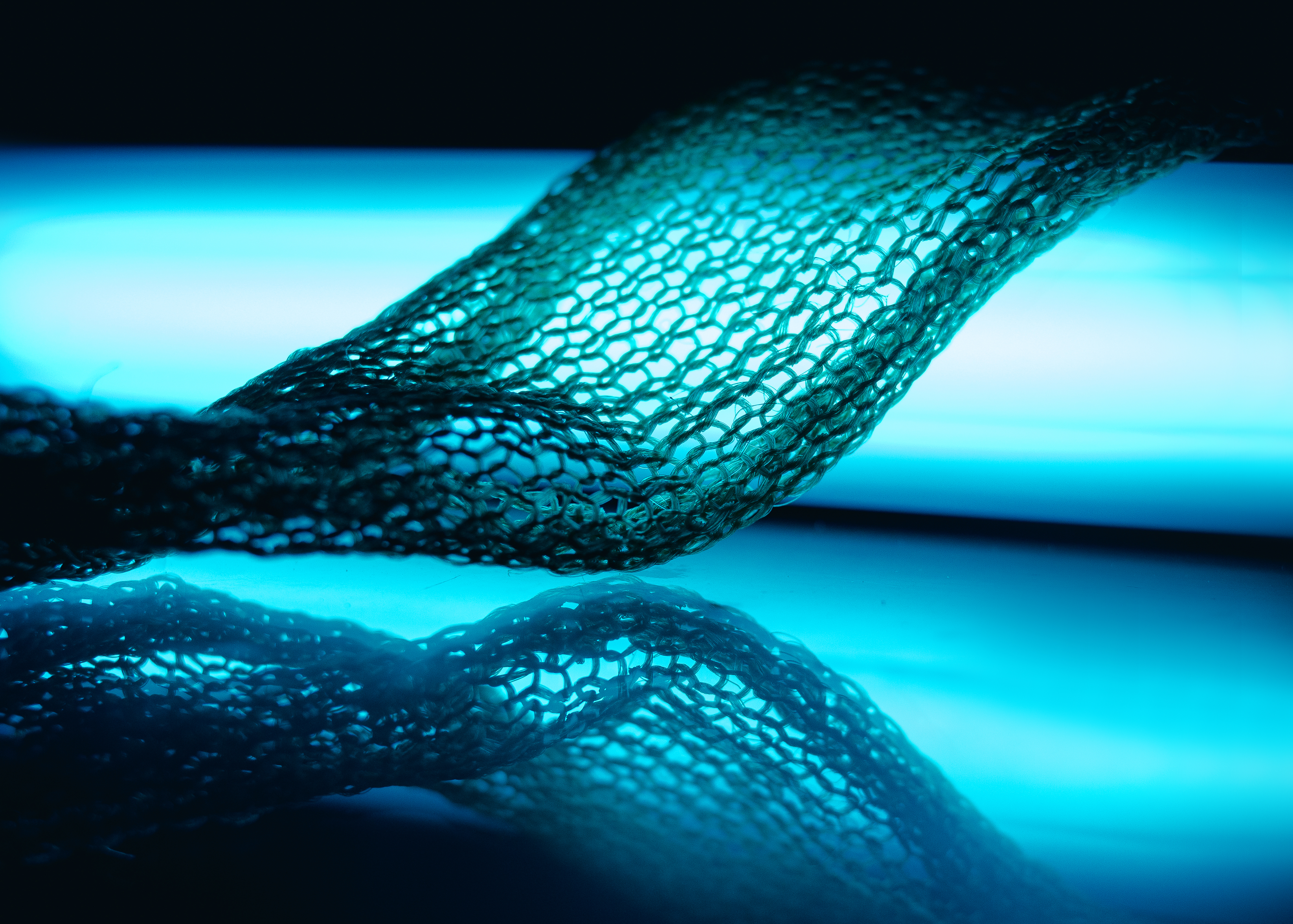 Seaweed-based fibers and thread, view 4
