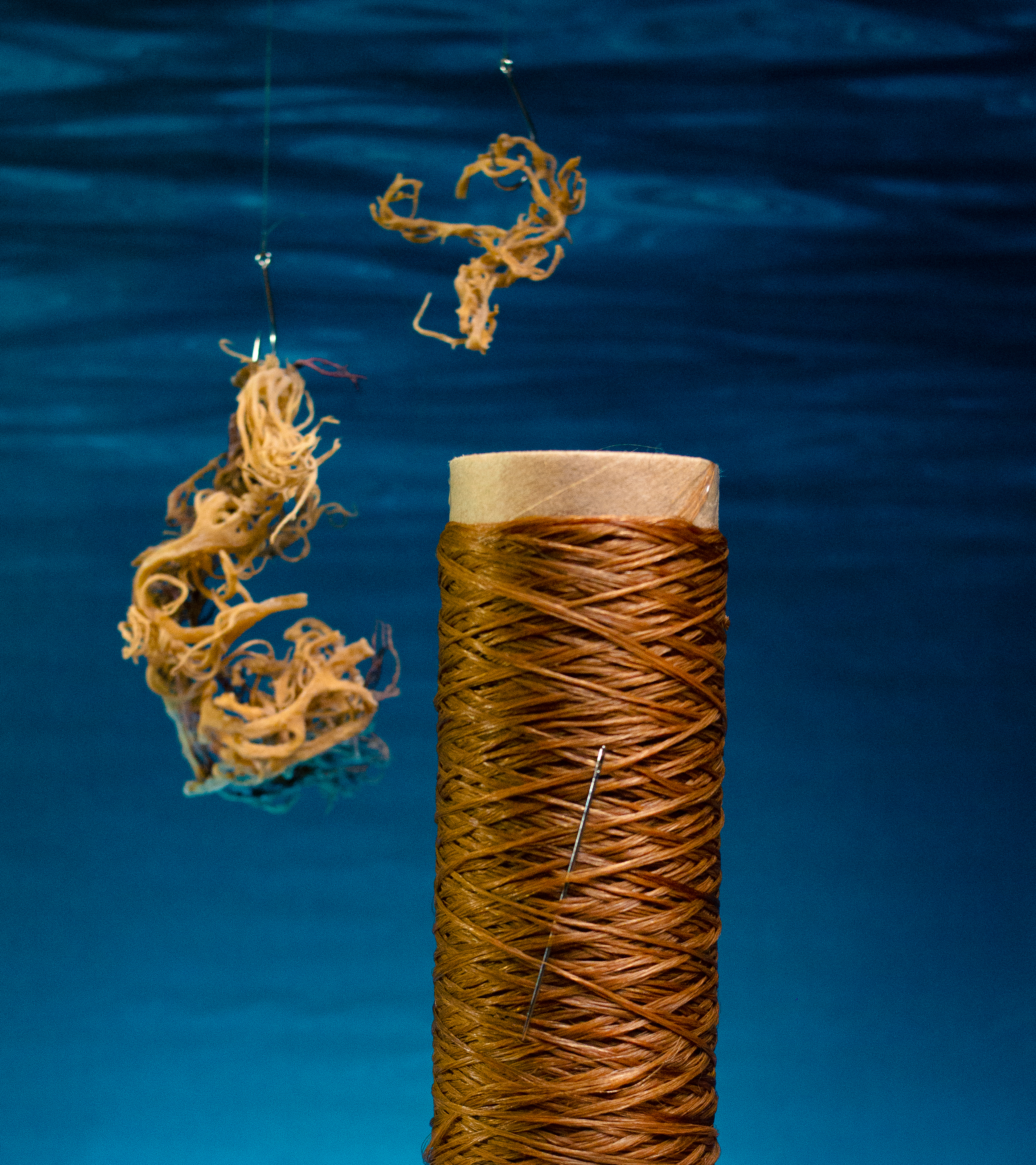 Seaweed fibers, view 9