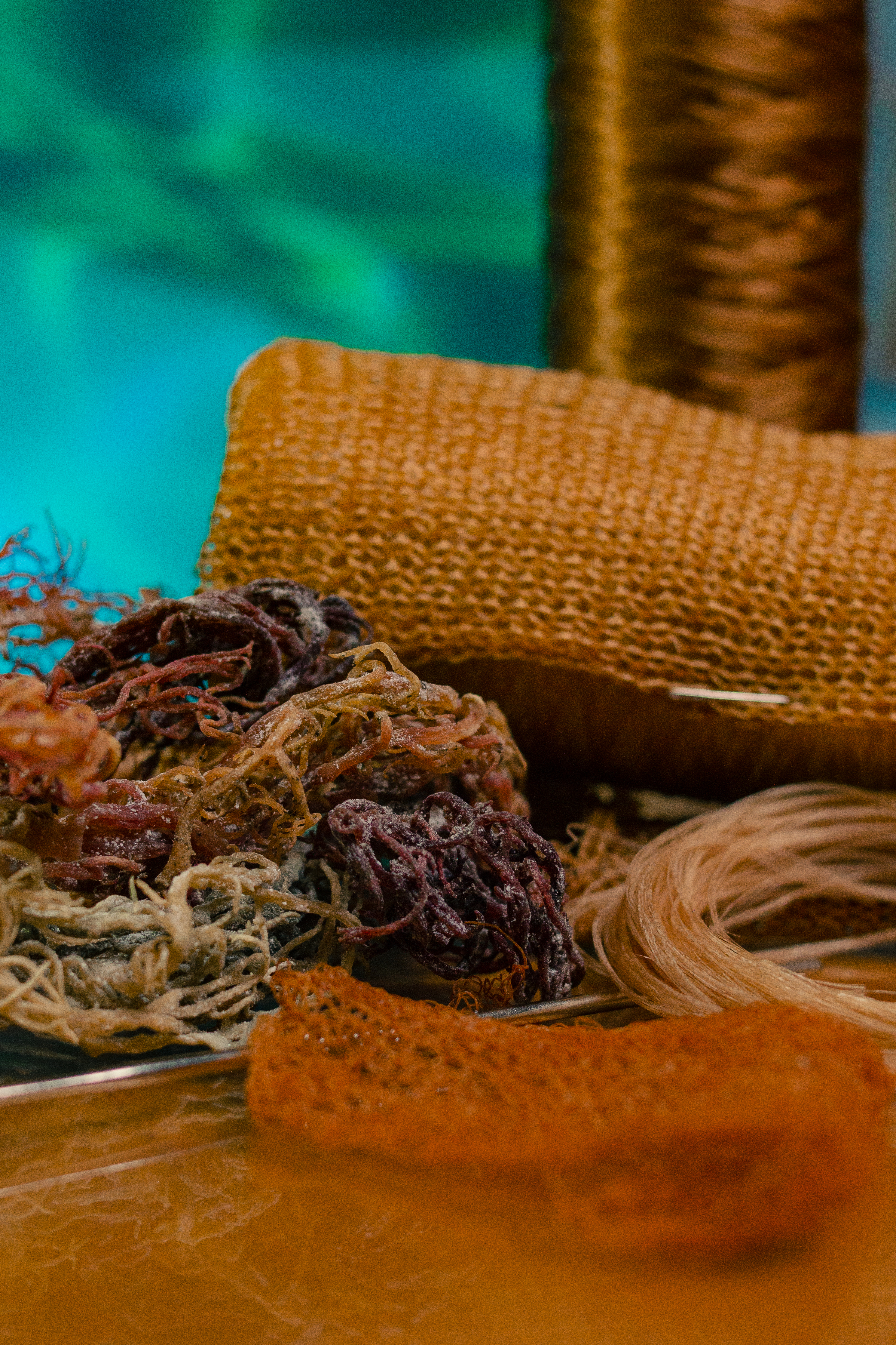 Seaweed-based fibers and thread, view 5