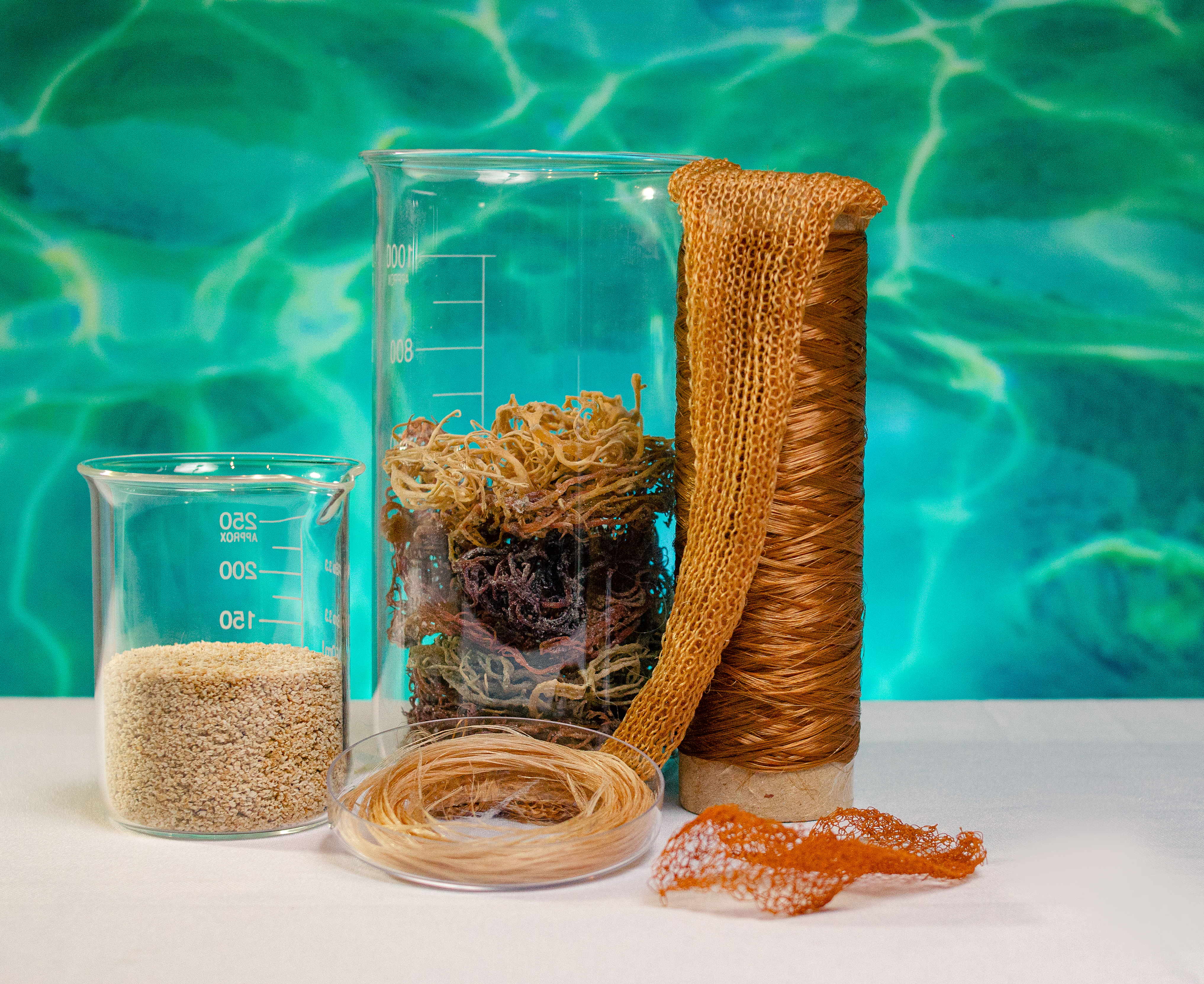 Seaweed-based fibers and thread, view 1