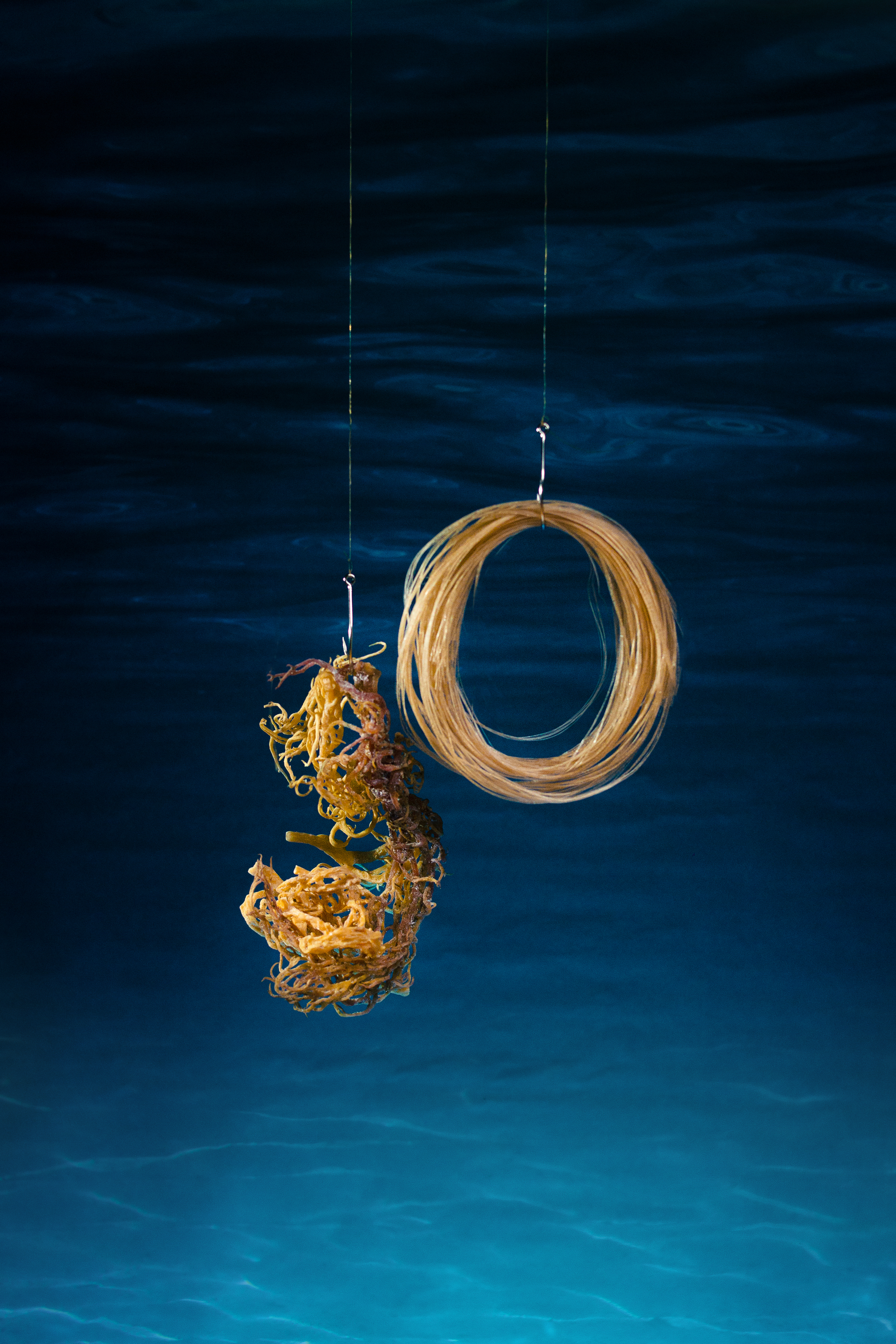 Seaweed fibers, view 8