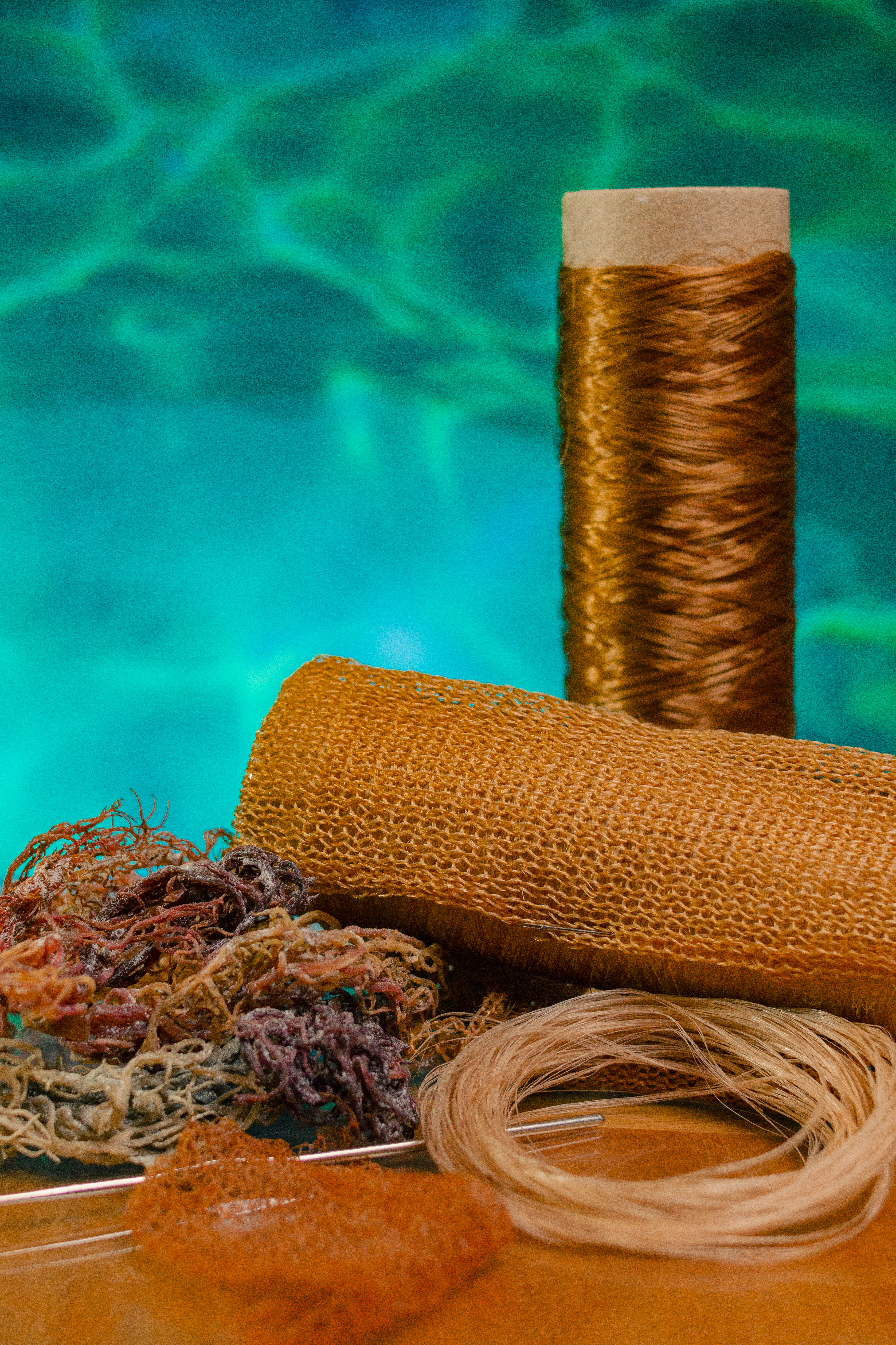 Seaweed fibers, view 1