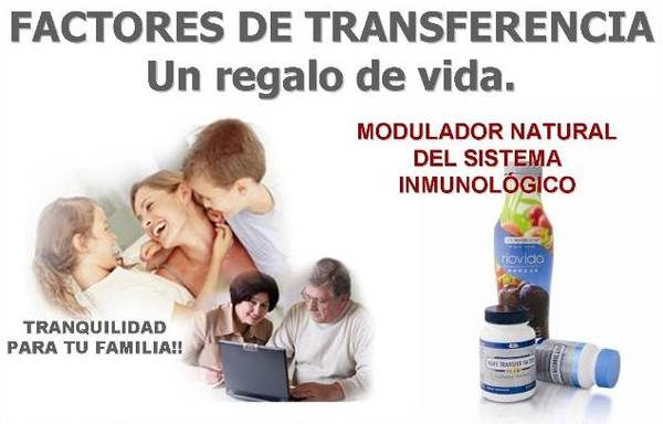 imagen3.jpg