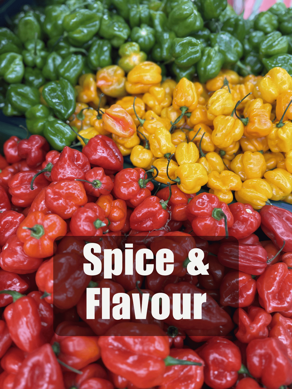 Fresh scotch bonnet peppers and Caribbean spices used in Chicken Kitchen's authentic jerk chicken recipes, London