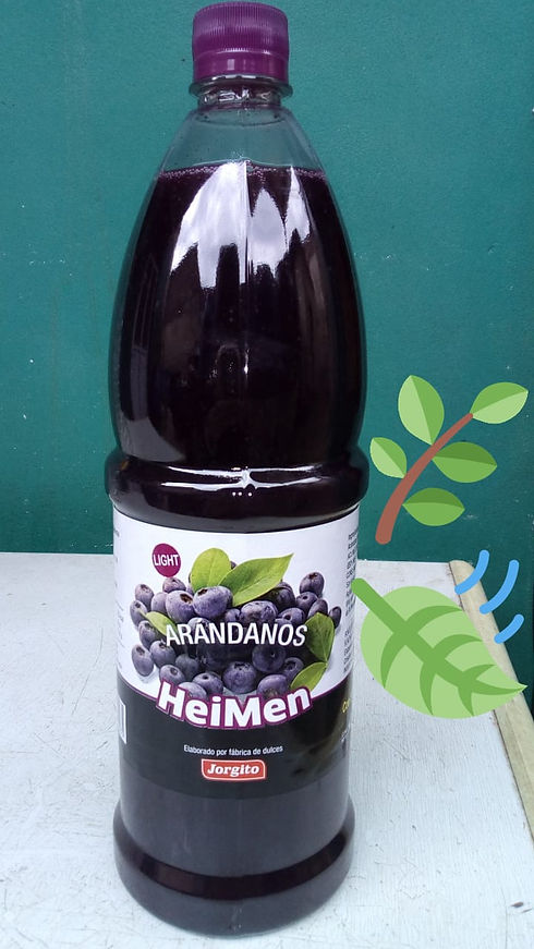 jugo de arandano hoja.jpeg