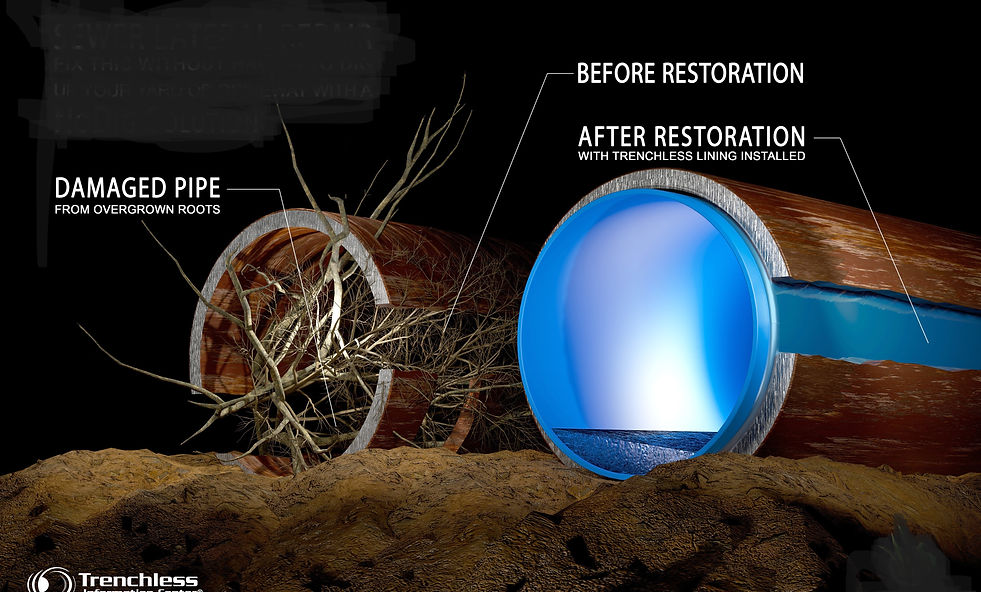 WHY DIG -- Final Side by Side - whydig logo removed.jpg