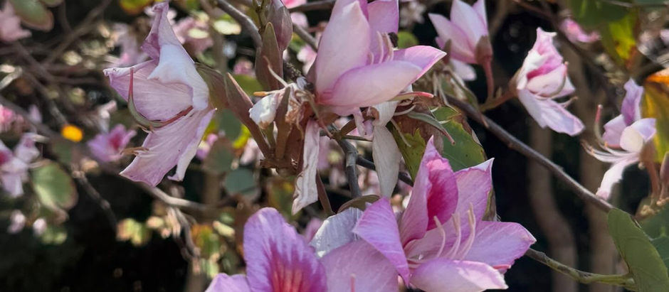 GW期間のご案内🌿