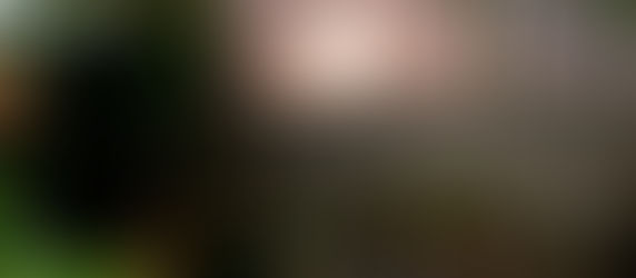 南大東島の満月