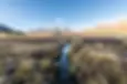 alp_flix_im_parc_ela.webp
