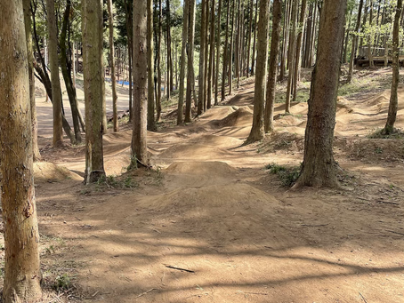 かすみがうらドッグ&MTBパークへ行ってきた