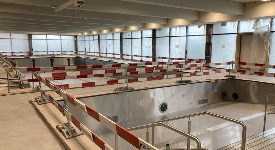 hallenbadtriesen.umbau2.jpeg