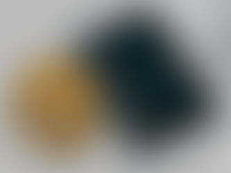 GEWINNERIN GESTALTUNGSWETTBEWERB LIECHTENSTEINER REISEPASS 2023