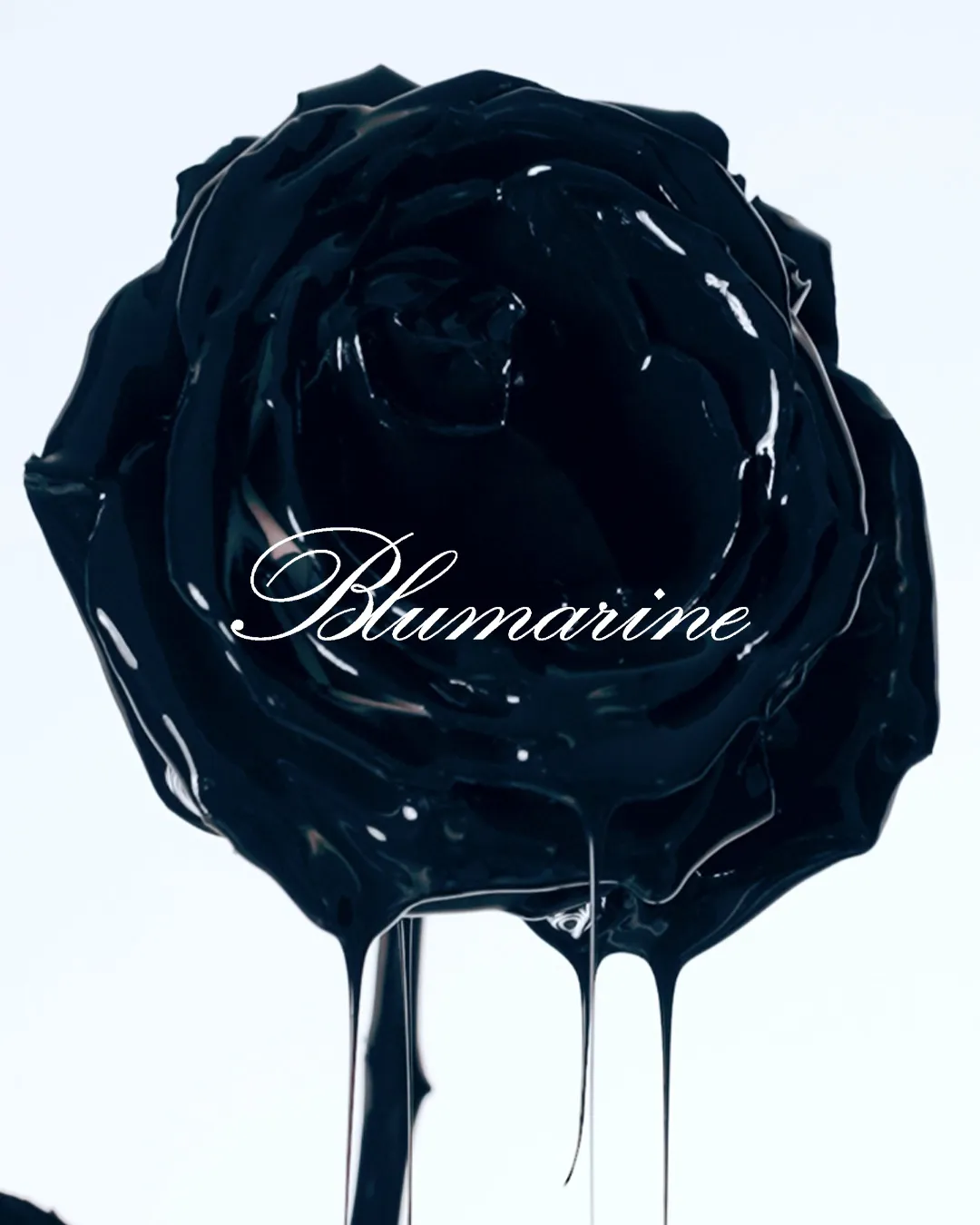 Black rose with 'Blumarine' text, dripping over white background.