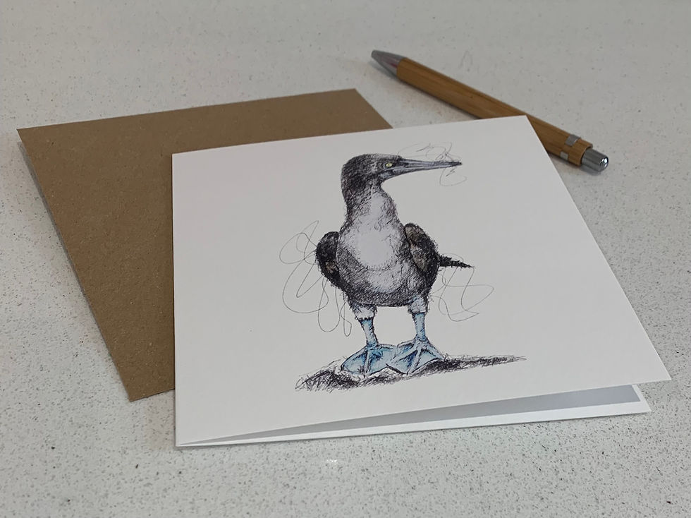 Thumbnail: Blue Footed Booby Watercolour Blank Greeting Card