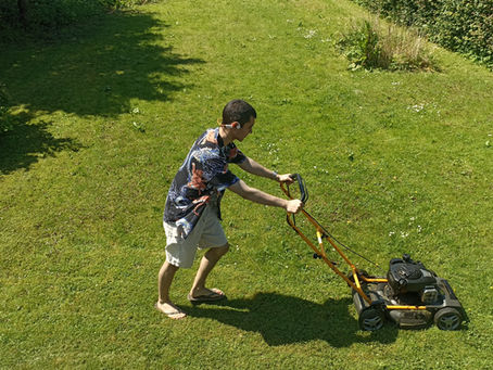 Græsslåning i Aarhus: præcis klipning gennem sæsonen og styr på prisen
