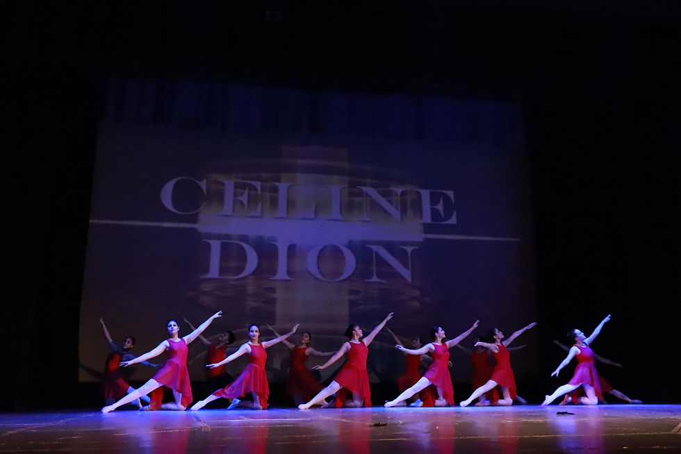 Ballet Principiantes 2
