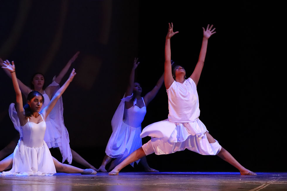 Danza Contemporánea