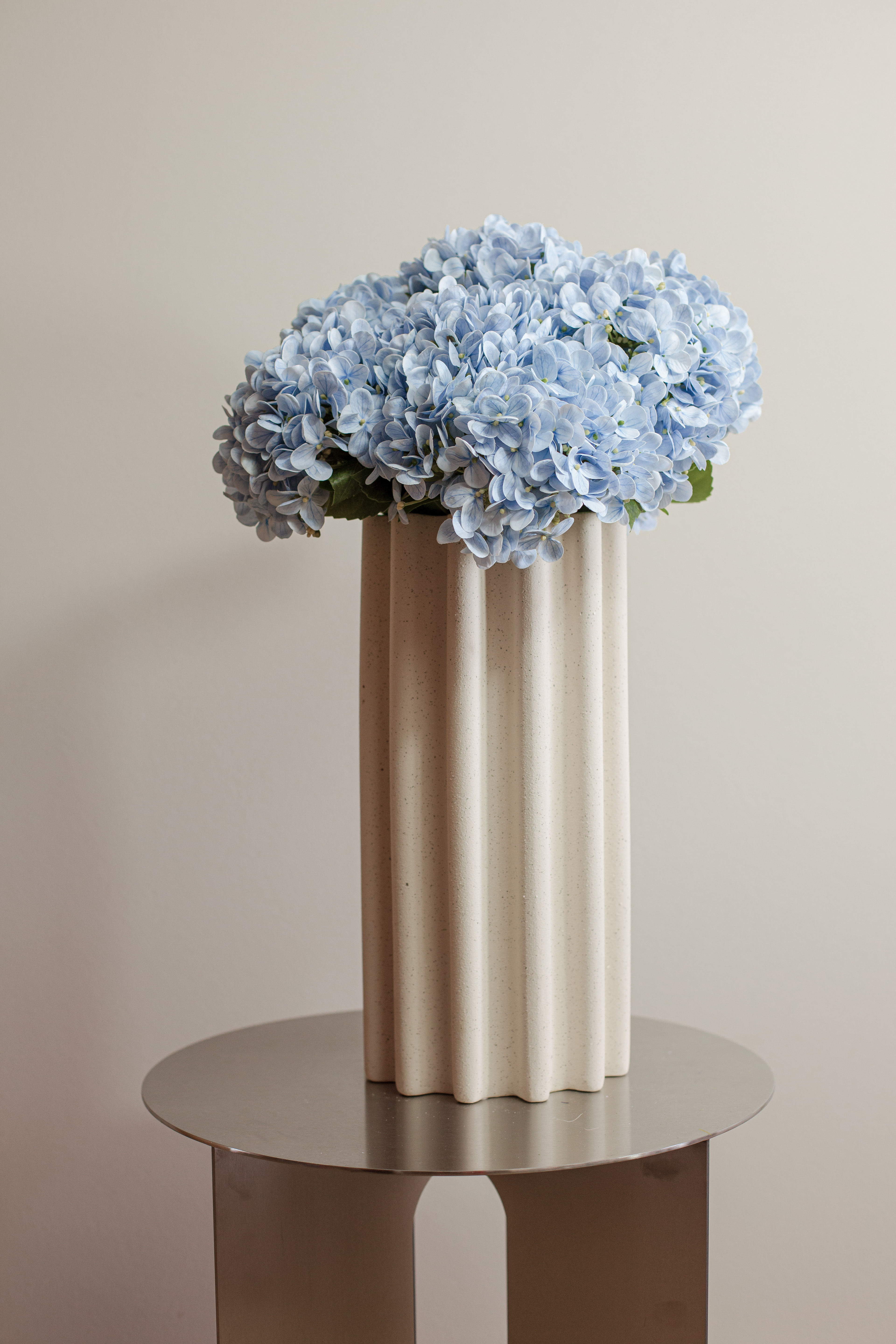 Azure Cloud Hydrangea