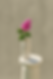 ChatGPT Image 27. aug. 2025, 23_17_39.png
