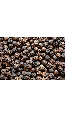 pepper.png