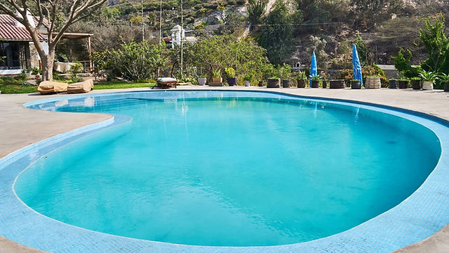 WhatsApp Image 2026-01-13 at 11.38.26 AM (2).jpeg