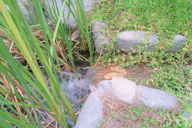 Villa entera en Villa Laureles 800 — foto 30