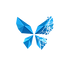 butterfly.png