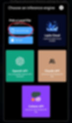 Menu screen for choosing an inference engine. Options: "Internal Storage" and "SD Card," highlighted in blue, others include "Layla Cloud," "OpenAI API," "Claude API," and "Cohere API."