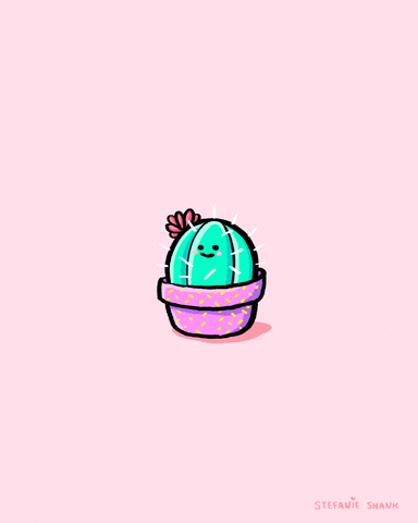 giphy (1).gif